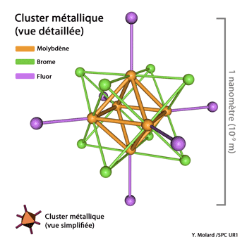 cluster_chimie