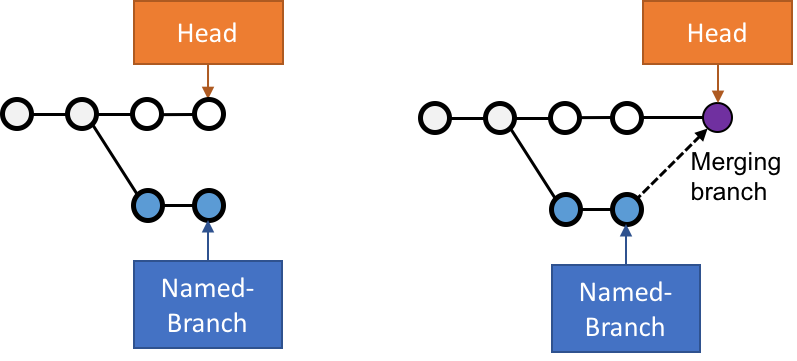 scm branches