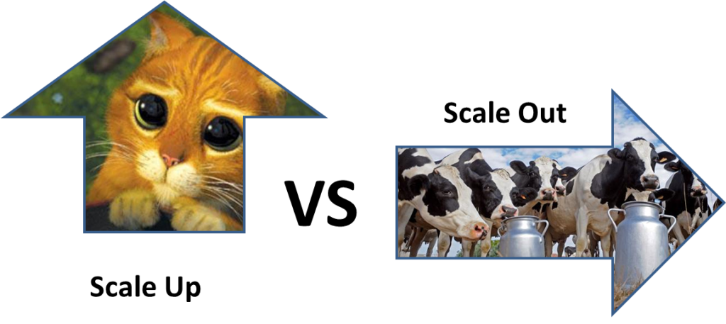 Pets vs Cattle